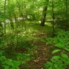 Chimney Trail Area