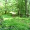 Shadowbrook Area